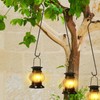 8 Pack 24 Inch Large Tree Branch Hooks Long S