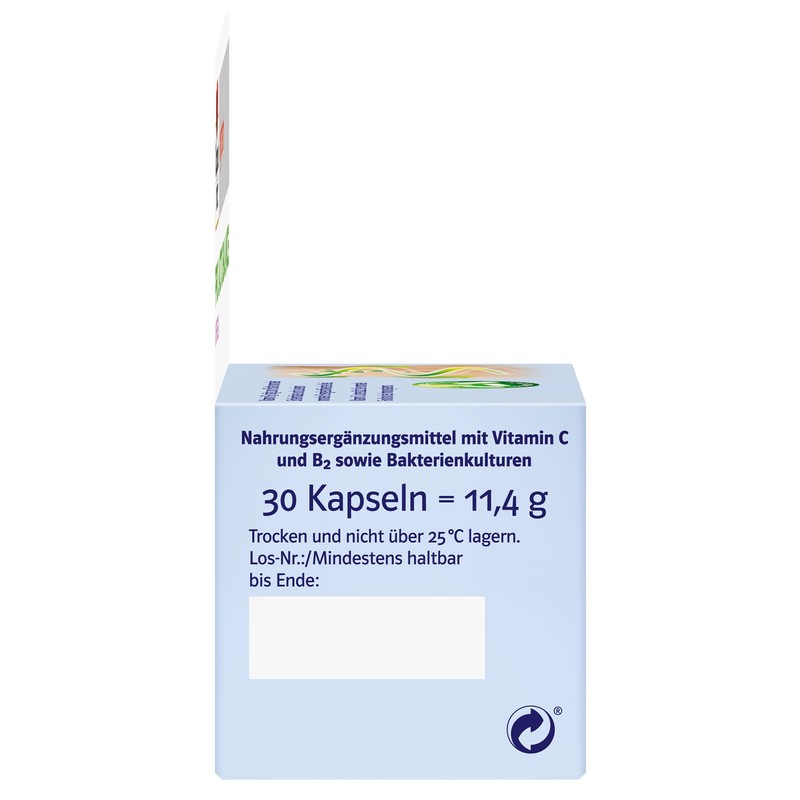 Doppelherz System Pro Lacto Balance – Strengthen Immune System –