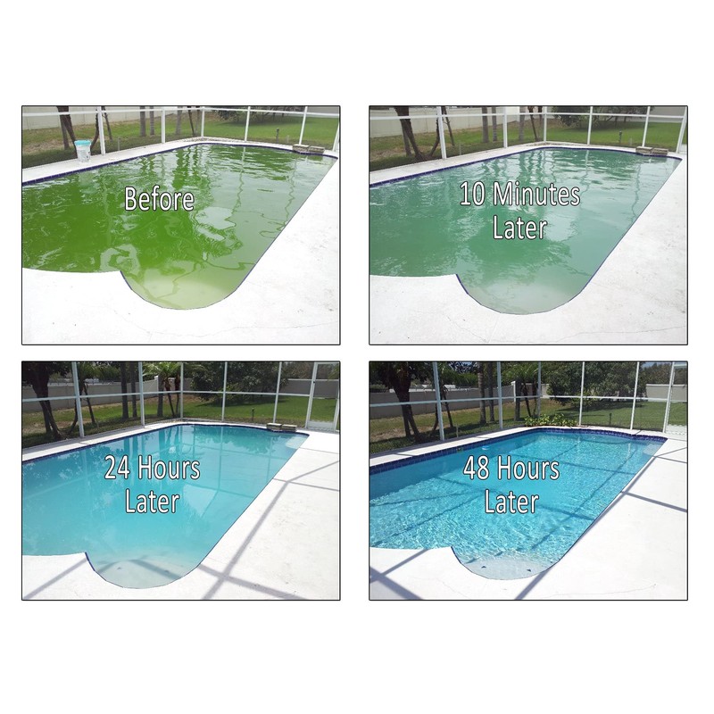 REVIVE! Swimming Pool Phosphate and Algae Remover Chemical for Pools