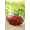 Nora Basque Heirloom Pepper Premium Seeds for Planting Packet +