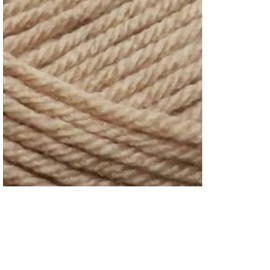 Premier Yarns Everyday Soft Worsted Anti-Pilling Crochet Knitting Yarn 3.5 Oz Each Skein #4 Worsted Weight 3 Pack Bundle with Bella's Crafts Stitch Markers (Cappucino)