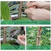 TELENT OUTDOORS 101 Feet Soft Plant Ties for Gardening Support