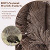 Natural Ostrich Feather Duster 14.9 Inch Fluffy Mini Dusters with