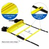 YesAll Escalera De Entrenamiento Deportivo 4.6m Envío Gratis