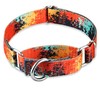 Dazzber Martingale Dog Collars Colourful Oil Painting Pattern Series -