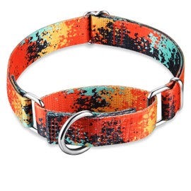 Dazzber Martingale Dog Collars Colourful Oil Painting Pattern Series - No Pull Pet Collar Silky Soft for Medium and Large Dogs (Small, 1.5cm Wide, Jungle Sunset)