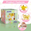 JIXZEN 2 Rolls Gold Star Stickers for Kids Reward, 1000Pcs