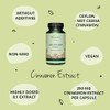 Ceylon Cinnamon 2000mg Vegavero® | High Strength Extract (8:1) |