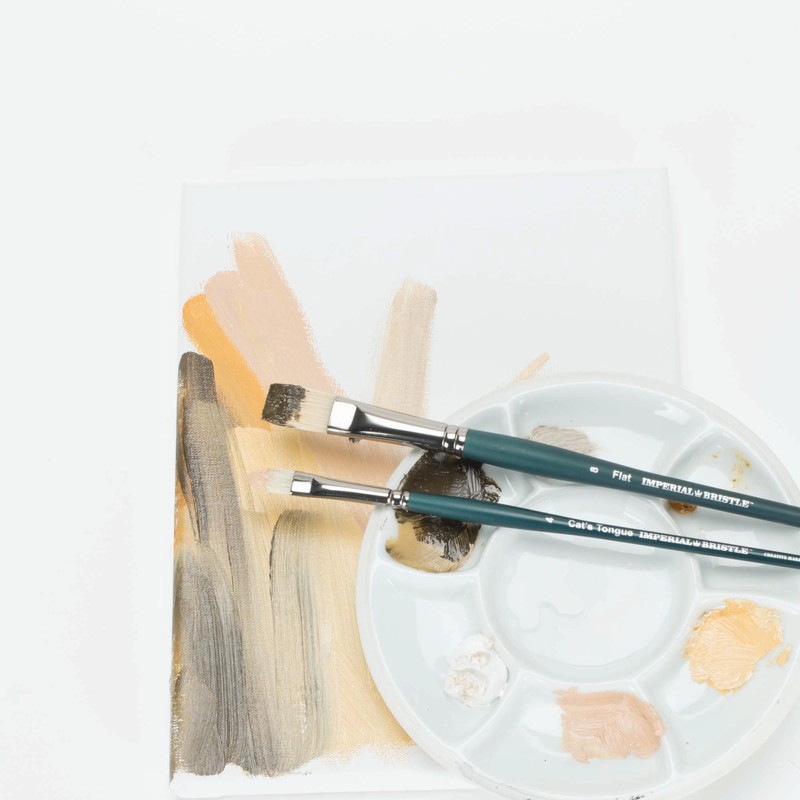 Imperial Professional Bristle Brush Flat Size 2