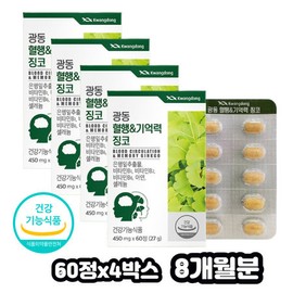 Ginkgo extract, memory for those in their 50s, blood flow immunity, GINKGO ginkgo leaf vitamin B complex, zinc selenium, 8 months supply / 은행추출물 중년 50대 기억력 혈행 면역력 GINKGO 은행잎 비타민B 복합체 아연 셀렌 8개월분