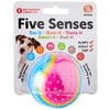 Sharples Five Senses Rubber Ball, Small,all breeds