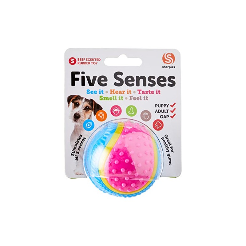 Sharples Five Senses Rubber Ball, Small,all breeds