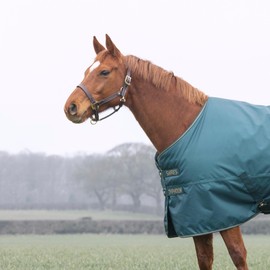 Shires Typhoon 200 Mediumweight Waterproof Turnout Rug - Green