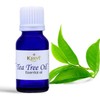 Krivi Tea Tree Essential Oil 15ml (Pack of 1)