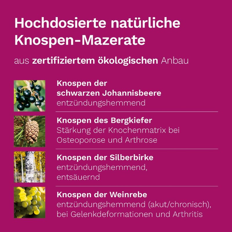 Arthro Plus Dr. Koll – Natürliche Unterstützung für Ihre Knochen,