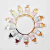 American Vinegar Works - Apple Cider Vinegar Sampler Pack -
