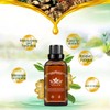2 PCS Ginger Oil,Ginger Massage Oil for Lymphatic Drainage,Lymphatic Drainage