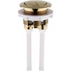 Brushed Brass Effect Dual Flush Toilet Button for RAK Toilets