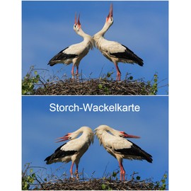 'Lenticular Postcard with Changing Image NR. 10219/Loose Card Wallet Birds: 2 Rattle Storks in the nest