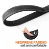 TwoEar 6FT 1IN Strong Black Dog Leash with 2 Padded