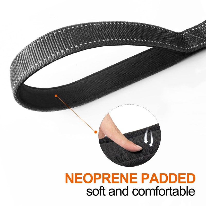 TwoEar 6FT 1IN Strong Black Dog Leash with 2 Padded