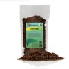 Premium New Zealand Tree Fern by GARDENERA - Orchid and
