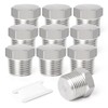 TAISHER 5PCS Stainless Steel Outer Hex Thread Socket Pipe Plug