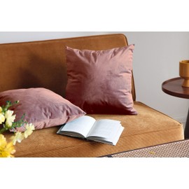 Pagnanno. Set of 2 Soft Velvet Cushion Covers 45x45cm(18x18 Inches) Plain Throw Pillowcases Square Cushion Covers for Chairs,living room,bedroom with Invisible Zipper ((Pack of 2), Jam)