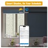AM25 Zigbee Smart Blinds Motor Only-for 1.5" Roller Tube-Rechargeable DIY