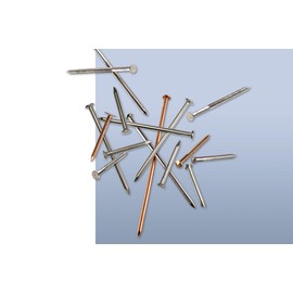 Simpson Strong-Tie T6SND1 Ring-Shank Wood Siding Nail‚ 2 Inch x 0.092 Inch,13 Gauge, Full Round Head, Diamond Point, Type 316 Stainless Steel (Pack of 245)