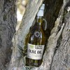 KORVEL MEDITERRANEAN QUALITY PRODUCTS Extra Virgin Olive Oil, KORVEL, glass