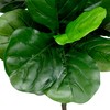 Northlight 4' Potted Two Tone Green Artificial Wide Fiddle Leaf