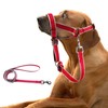 OHVEECA Dog Head Collar with Leash for Walking, No Pull