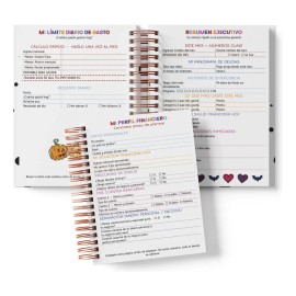 Libreta Organigastos Anual| Control De Gastos Jack And Sally