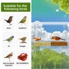 Window Bird Feeder with Strong Suction Cups – Flat-Tile Roof