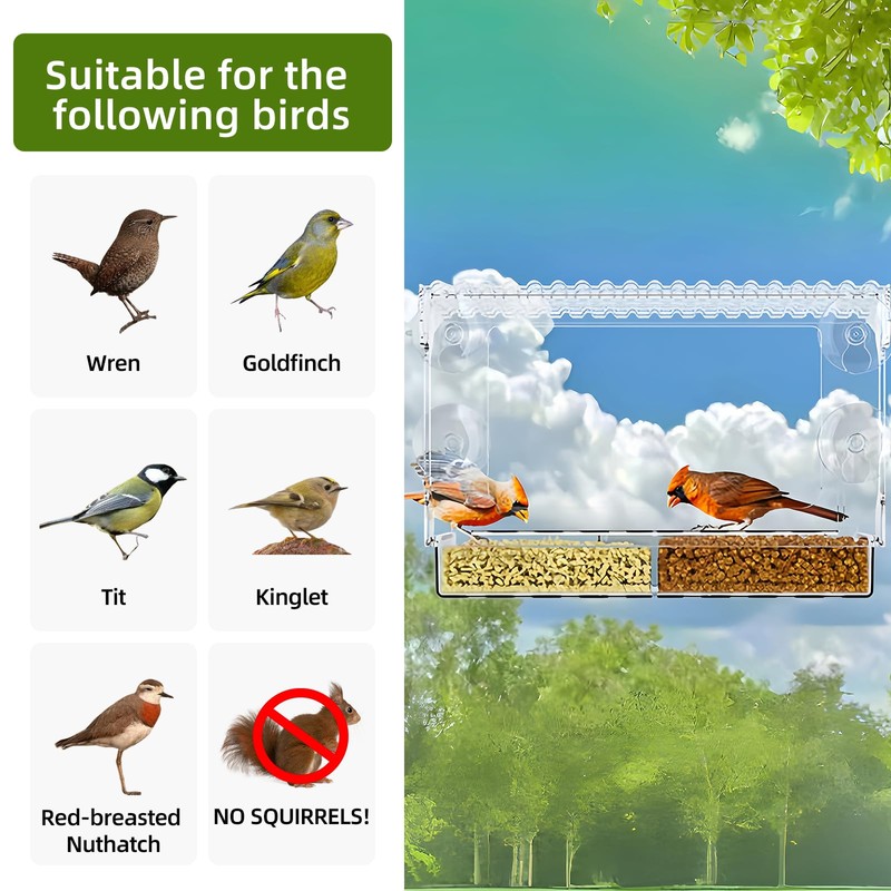 Window Bird Feeder with Strong Suction Cups – Flat-Tile Roof