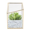 Mini Glass Storage Container Flower Pot Planter Vase Bowl Home