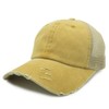 Pigment Dye with Polyester Mesh Cap (Gold)