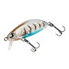 DAIWA Z36F Ajing, Mebaling, Tsukishita Bijin Gengoro, Eggs Shrimp