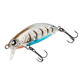 DAIWA Z36F Ajing, Mebaling, Tsukishita Bijin Gengoro, Eggs Shrimp