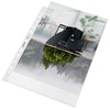 Leitz economy document wallet a4 colourless pp grained waterproof pack