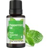 Horbäach Peppermint Essential Oil | .51 fl oz (15mL) |