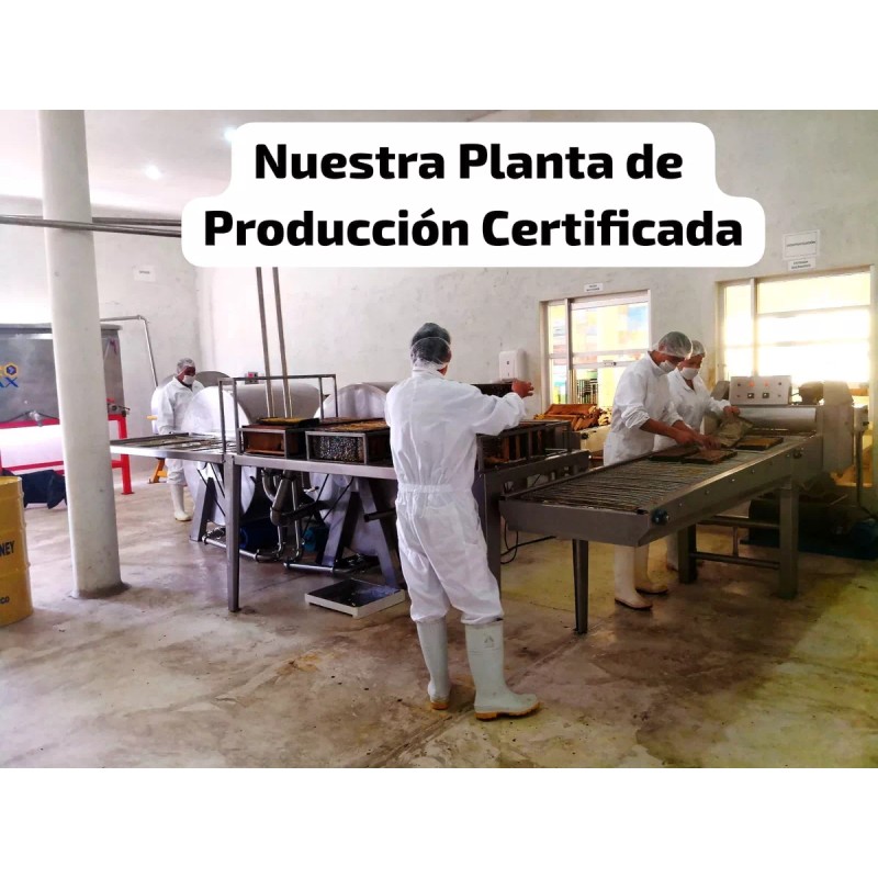 Mielife Cera Abeja Estampada Para Langstroth Apicultura Mielife 5kg