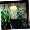 Mipcase Self Watering Plant Tool Automatic Dripper Globes for Use