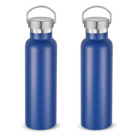Neihepal 20 oz Insulated Water Bottles Bulk 2 Pack,Stainless Steel Double Wall Sport Bottle with Lid of Handle,Metal Reusable Thermoses Flask with Cup Cap for School,Cyclists,Gift (Navy,Set of 2)