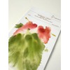 Hahnemuhle Velour 260 GSM Pad - 24 x 32cm Mixed
