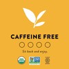 Choice Organics - Organic Mandarin Ginger Tea (1 Pack) -