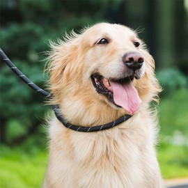 Duty Dog Leash with Comfortable Rope Dog Leads Strong Dog Lead with Soft Padded Handle and Reflective Threads Highly Reflective Dog Leash for Small Dog