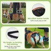 Dog Lift Harness for Male Dogs - 2-in-1 Full Body