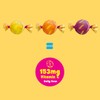 Suckerz Tropical Organic Hard Candy Pieces, Pina Colada Passion Fruit